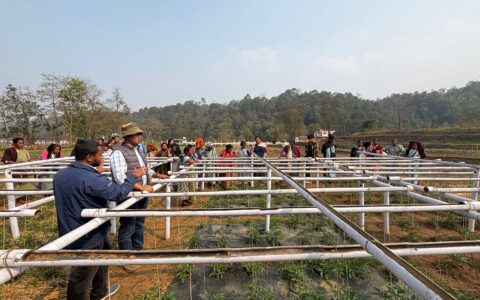 A hands-on learning moment as participants tour a vibrant floriculture and agroforestry setup during the Climate-Smart Farming workshop.