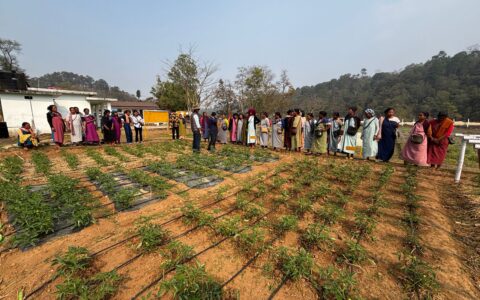 A guided tour of a horticulture farm with a spotlight on smart water management