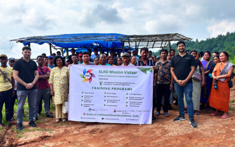 One day training on "Maximizing Pineapple Potential: Harvest to Market" | 31 July, 2024 | Jirang, Meghalaya