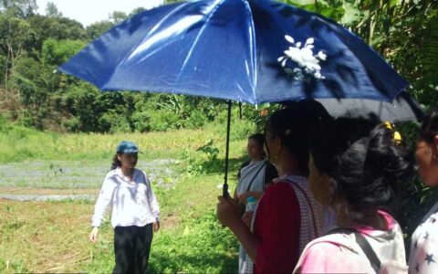 Two-Day Workshop on  Permaculture | 25th-26th July 2025