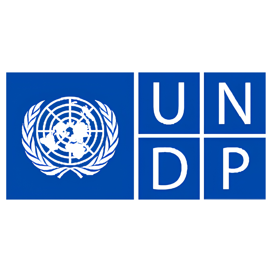 UNDP logo